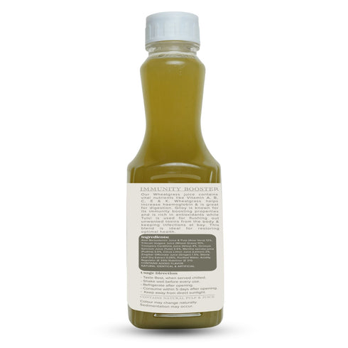 Baidyanath Wheat Grass Ready to Drink Juice